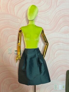 Lord & Taylor skirt